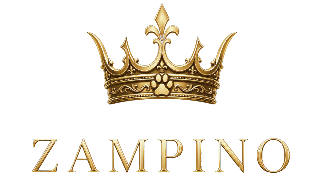 logo zampino central -